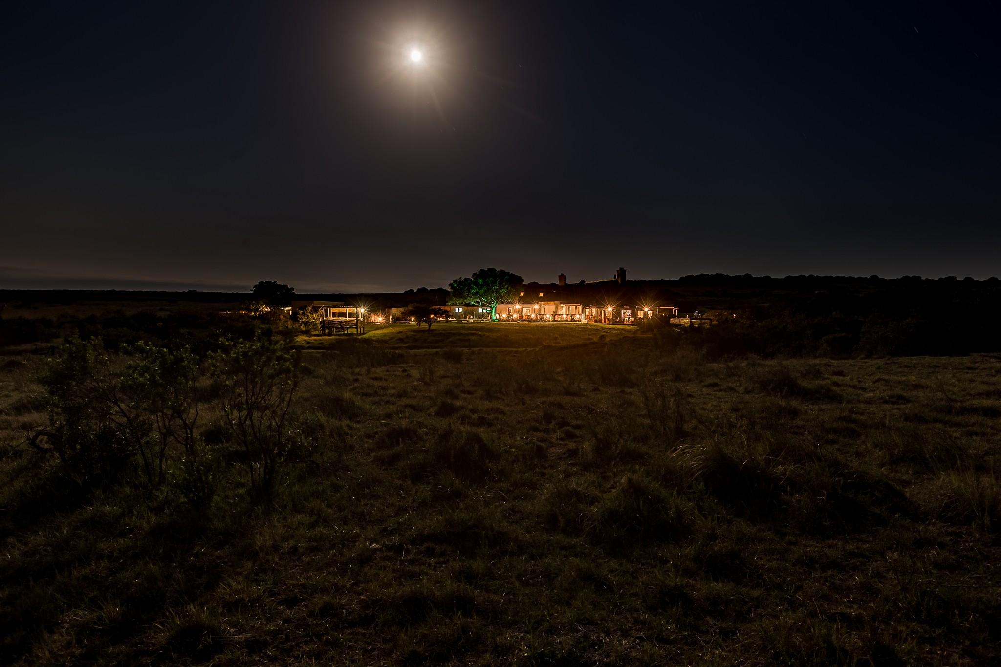 Hlosi Game Lodge - Amakhala Game Reserve Buyskloof Exterior photo