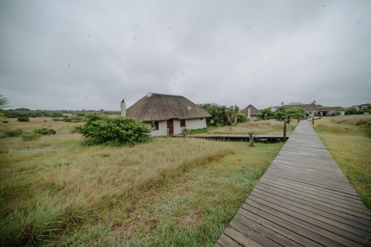 Hlosi Game Lodge - Amakhala Game Reserve Buyskloof Exterior photo