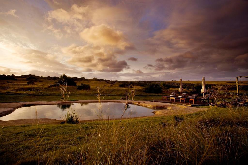 Hlosi Game Lodge - Amakhala Game Reserve Buyskloof Exterior photo