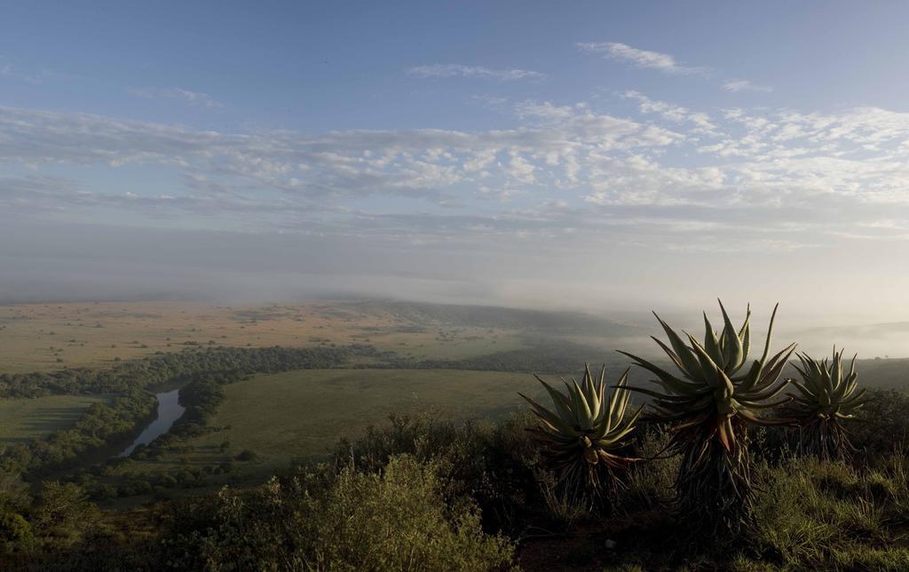 Hlosi Game Lodge - Amakhala Game Reserve Buyskloof Exterior photo